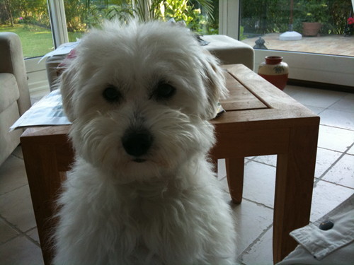 Mille